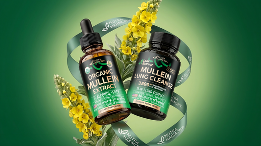 Choosing the Best Mullein Extract in 2026: What Informed Consumers Look For