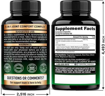 Boswellia Serrata Extract