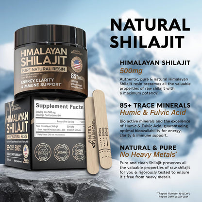 Himalayan Shilajit | Pure Natural Resin