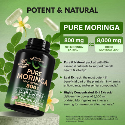 Pure Moringa Leaf Powder for Cortisol Level, Energy & Joint Support