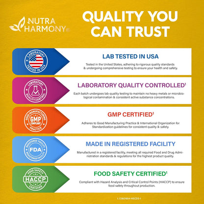 Probiotic Gummies 10B CFU with Prebiotic Fiber for Digestion & Immune Support